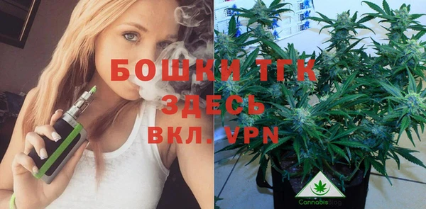 apvp Няндома