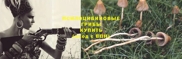 эйфоретик Нязепетровск