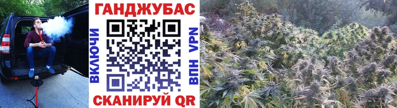 Канабис сатива  Купить где  Калязин 
